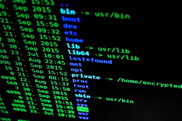 Close-up of colorful text on a computer screen, showcasing cybersecurity concepts.