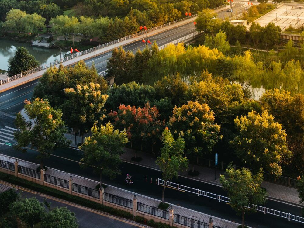 A picturesque aerial view of a tree-lined road during autumn, capturing vivid colors.