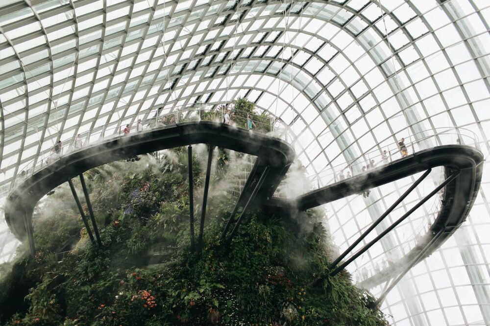 Stunning view of Gardens by the Bay's indoor cloud forest with misty walkway and lush greenery.