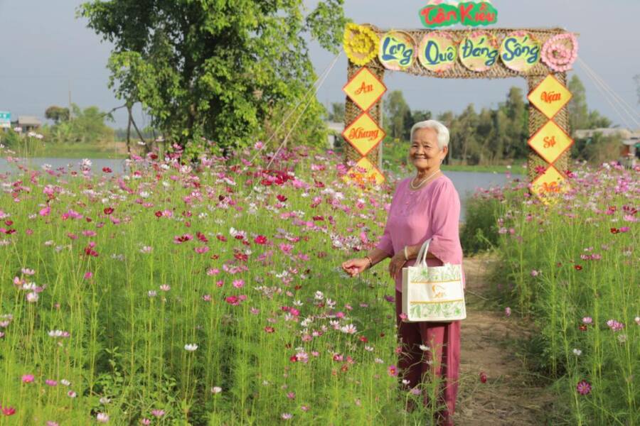 陽光明媚的日子，一位老婦人在越南農村欣賞畫廊的花田。