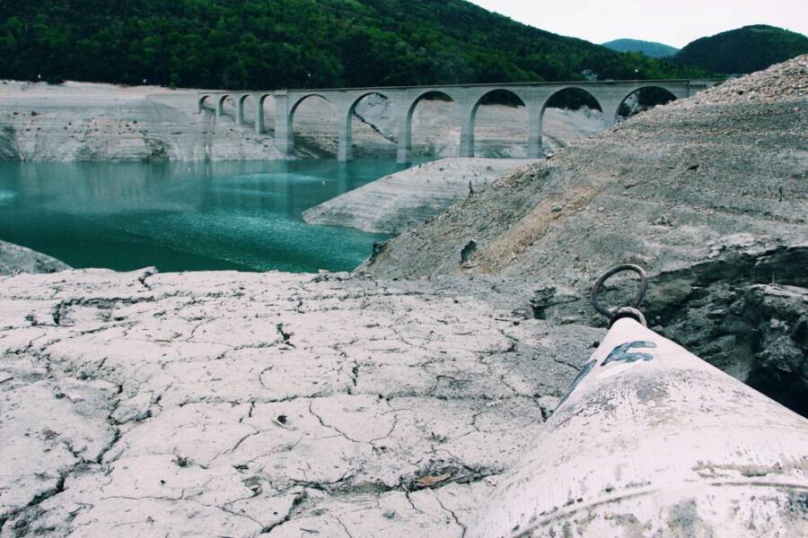 森林附近的灰色混凝土拱橋