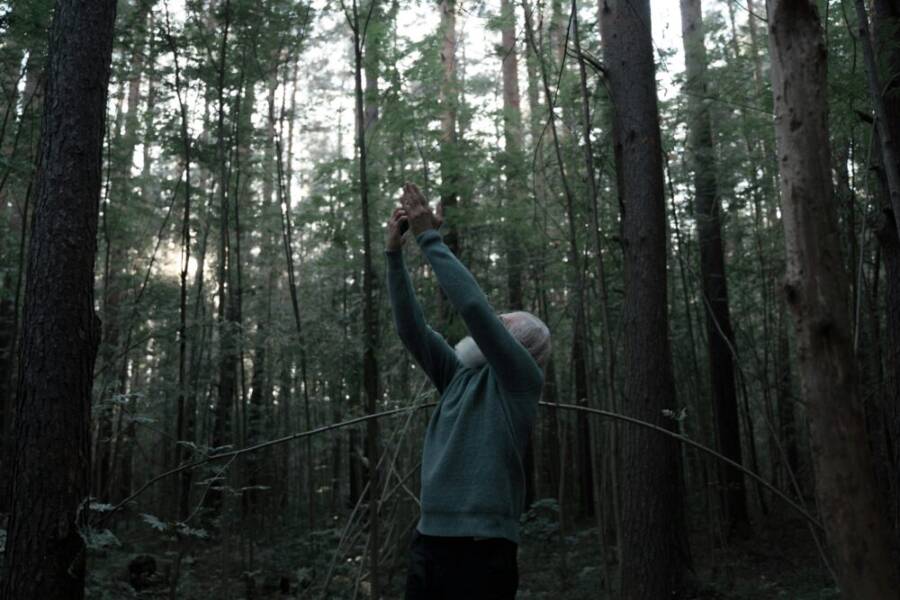 An elderly man stands in a forest, reaching upwards with a smartphone, seeking connectivity.