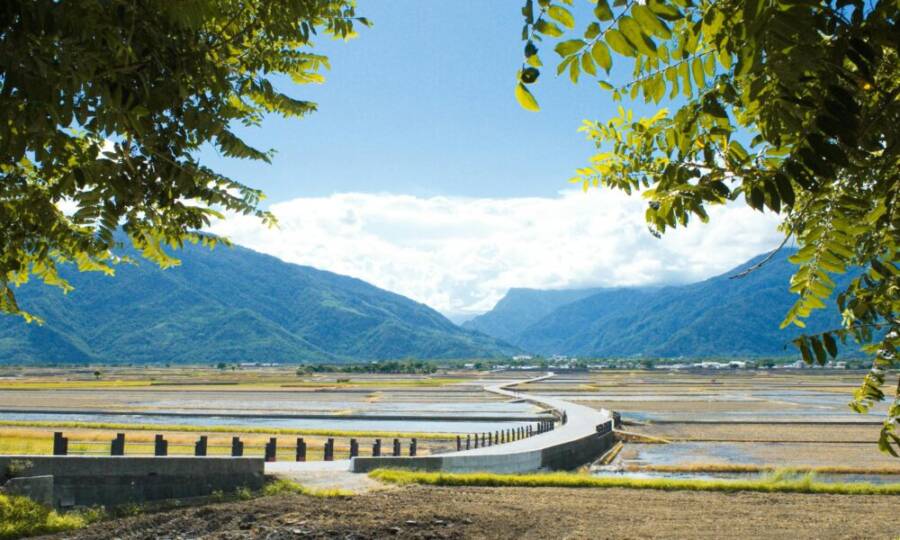 田園縱谷景色