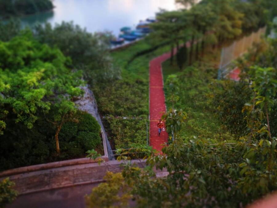 Aerial view of a lush park with a red pathway and distant lake view.