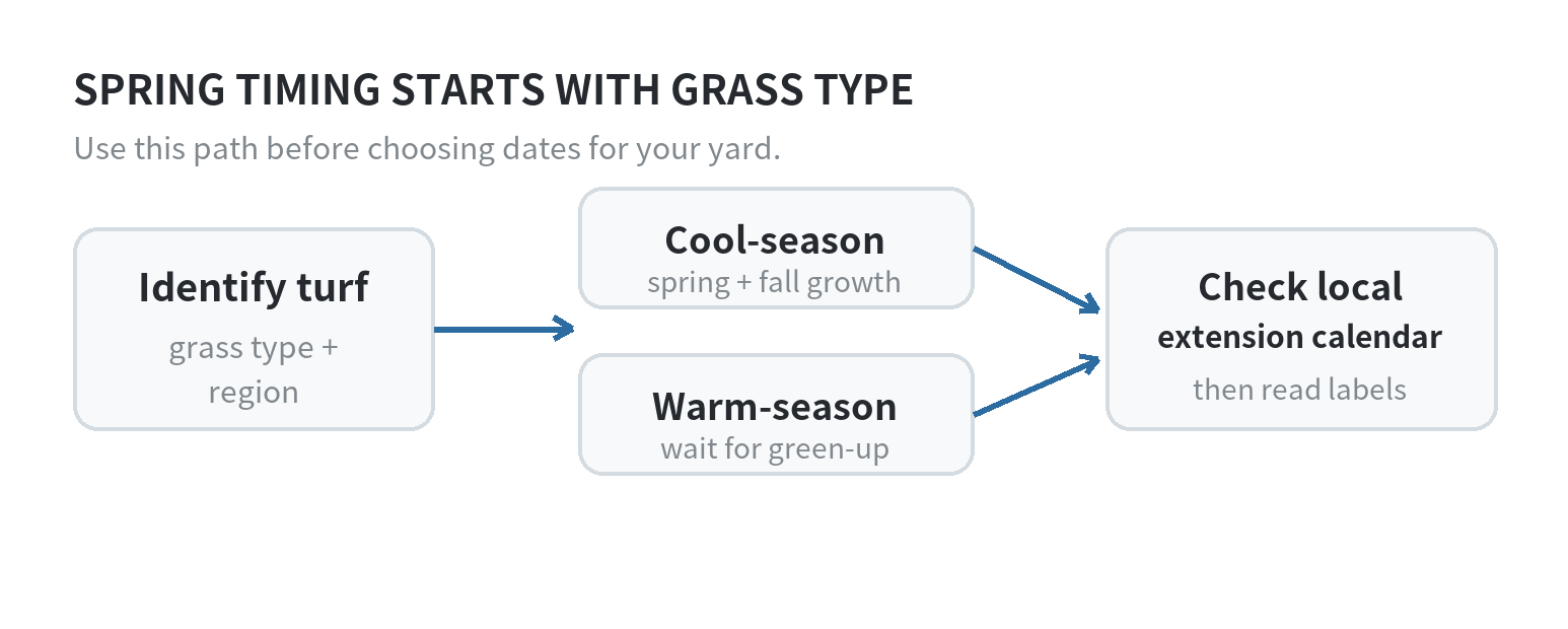 Decision path for identifying cool-season or warm-season grass, then following the matching local extension calendar.