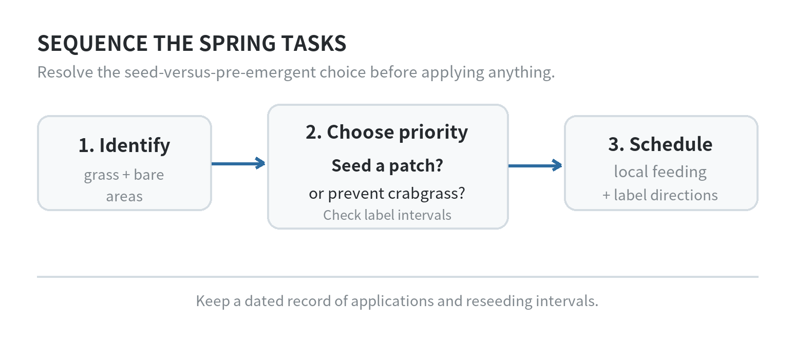 Spring lawn task sequence: identify turf, choose between seeding and pre-emergent, check local fertilizer timing, then follow product labels.