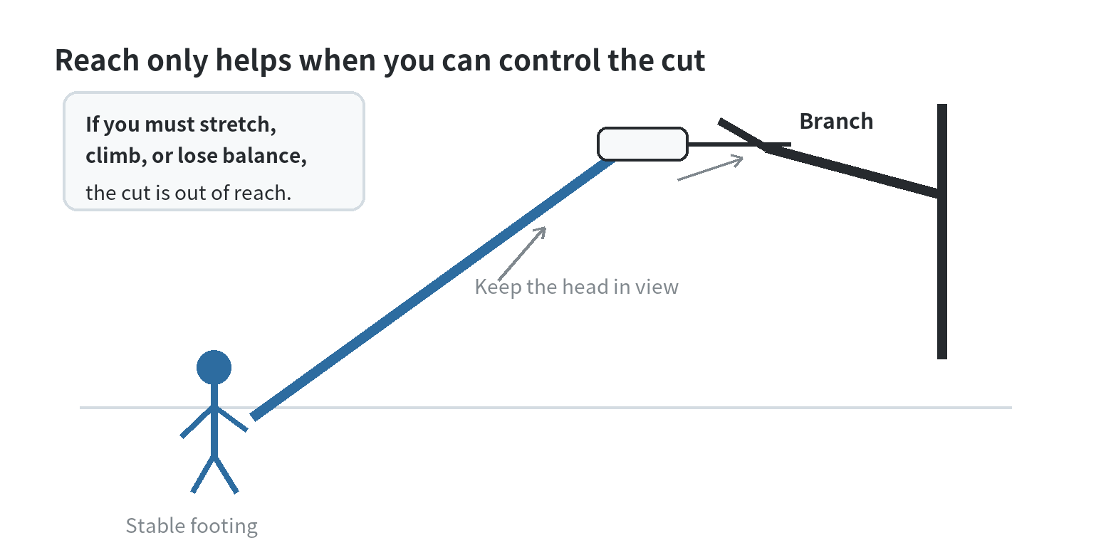 A person on stable ground aims a pole saw toward a branch; the diagram notes that reaching or losing balance puts the cut out of reach.